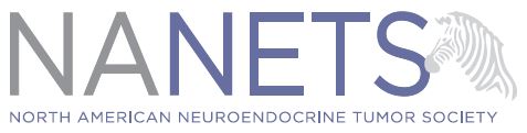 NANETS 2026